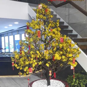 Mã 030 Mai Chưng Sảnh