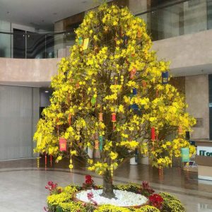 Mã 038 Mai Chưng Đại Sảnh